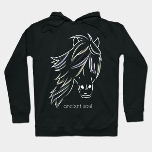 Ancient soul Hoodie